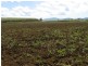 Innisfail QLD 4860