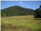 Mena Creek QLD 4871