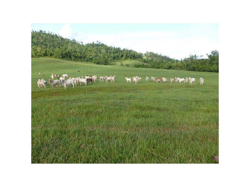 Walter Lever Estate QLD 4856