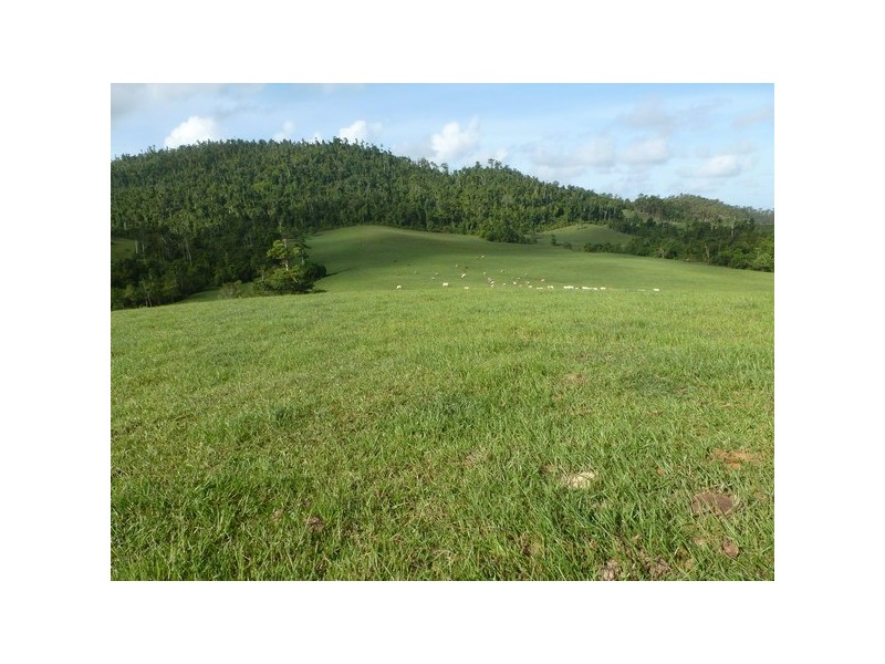 Walter Lever Estate QLD 4856