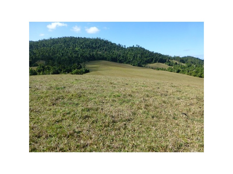 Walter Lever Estate QLD 4856