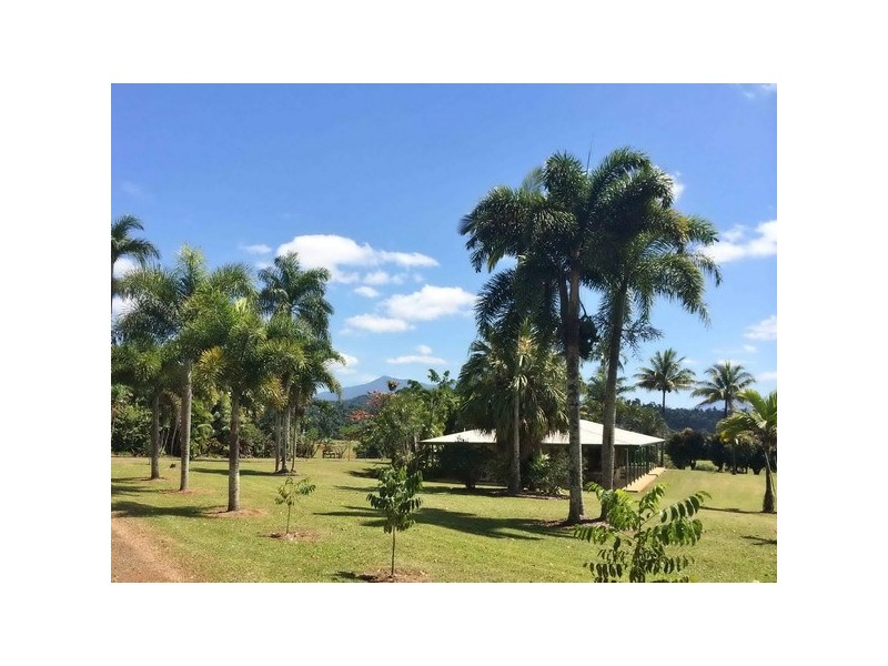 Daradgee QLD 4860