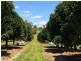 Daradgee QLD 4860