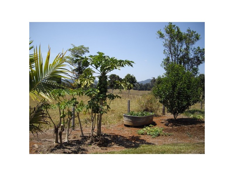East Palmerston QLD 4860