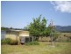 East Palmerston QLD 4860