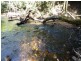 Abergowrie QLD 4850