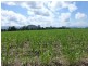 Abergowrie QLD 4850