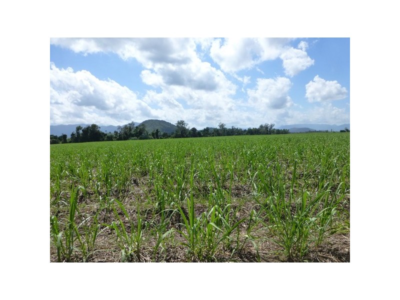 Abergowrie QLD 4850