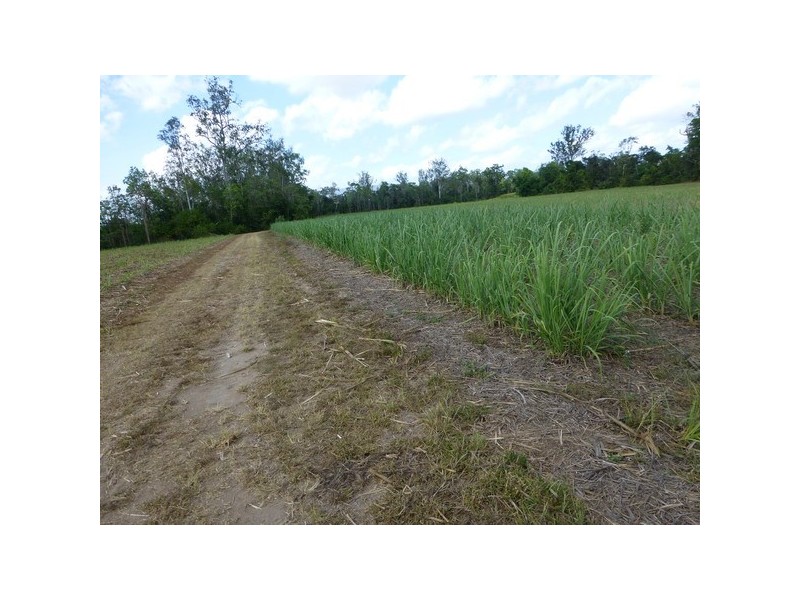 Abergowrie QLD 4850