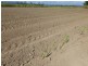 Abergowrie QLD 4850