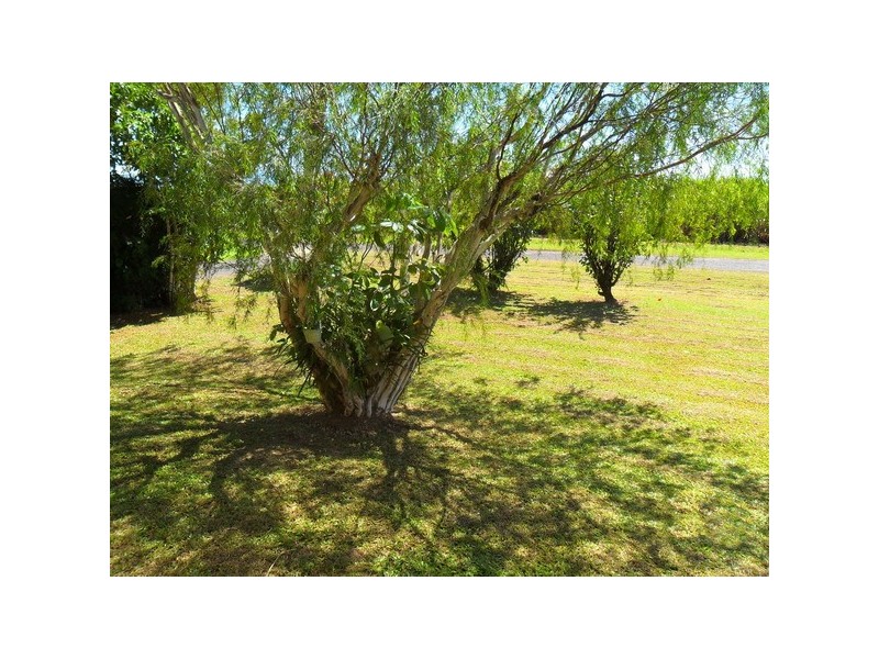 South Johnstone QLD 4859