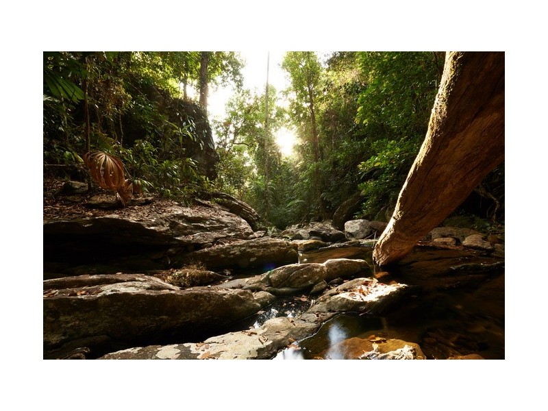 Jubilee Heights QLD 4860