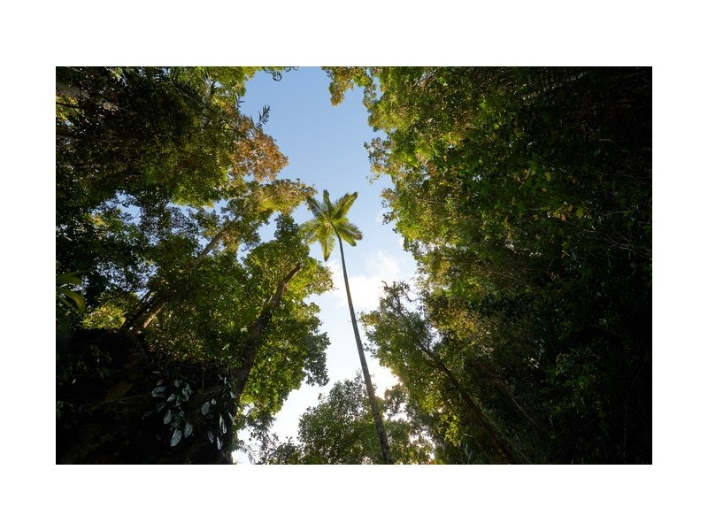 Jubilee Heights QLD 4860