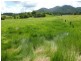 Mena Creek QLD 4871