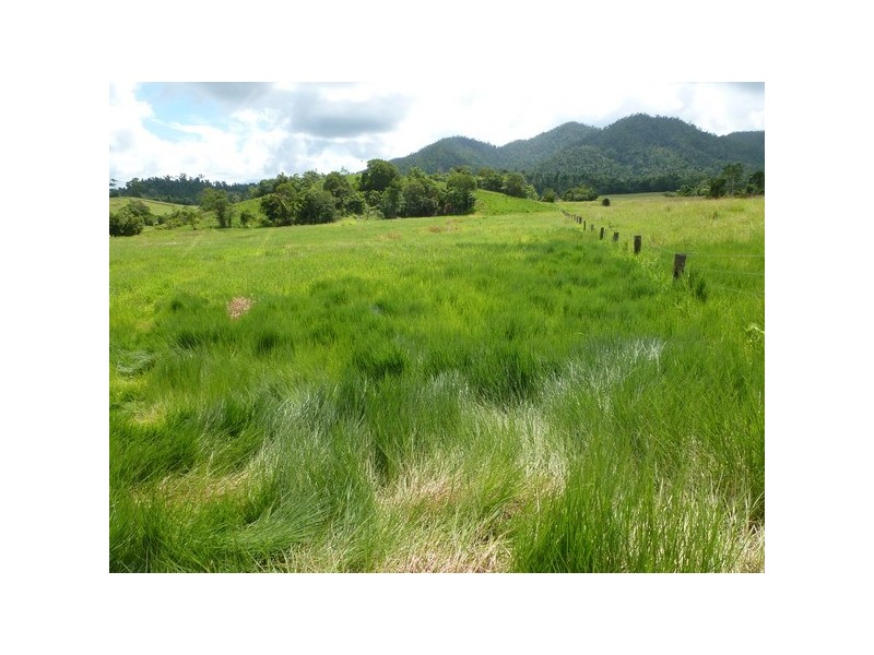 Mena Creek QLD 4871