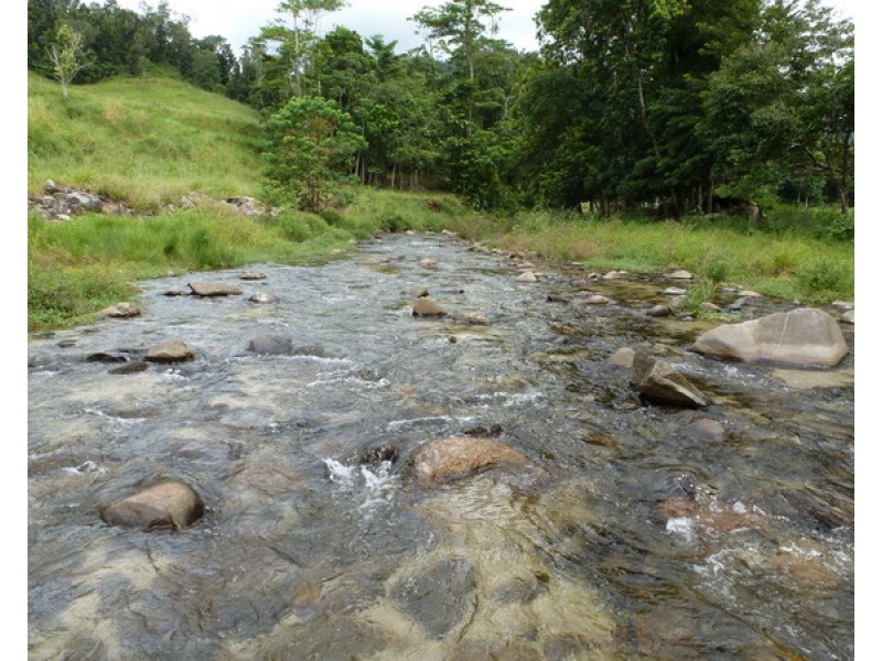 Japoonvale QLD 4856