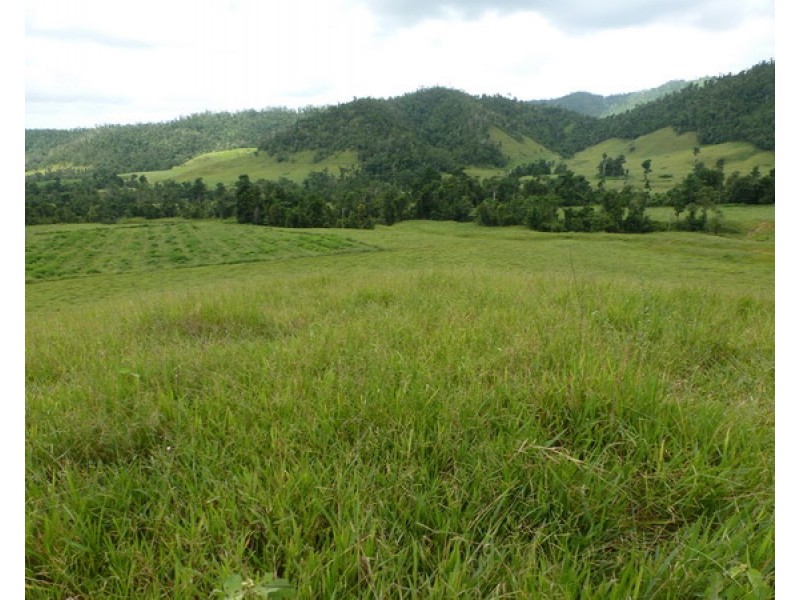 Japoonvale QLD 4856