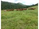 Japoonvale QLD 4856
