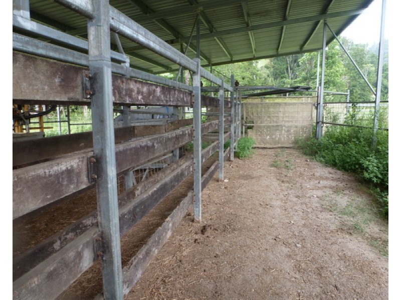 Japoonvale QLD 4856