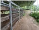 Japoonvale QLD 4856