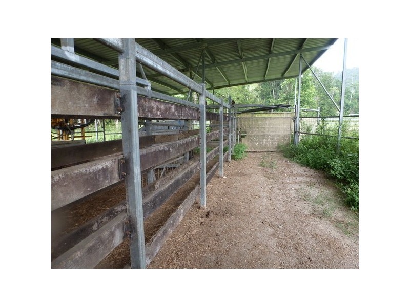 Japoonvale QLD 4856