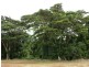 Daradgee QLD 4860