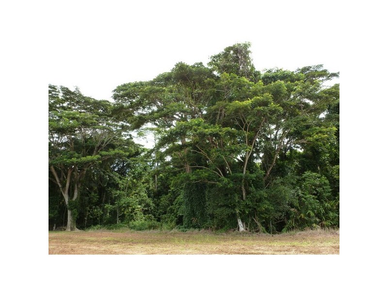 Daradgee QLD 4860