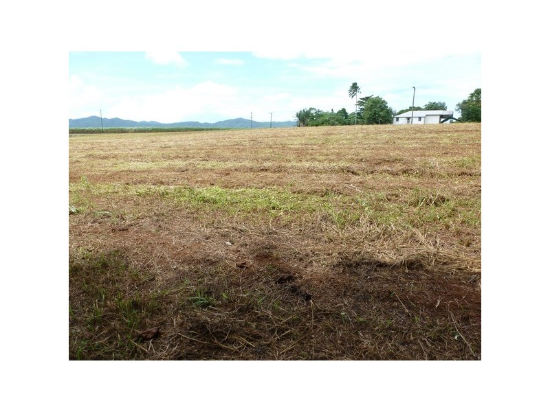 Daradgee QLD 4860