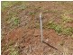 Daradgee QLD 4860