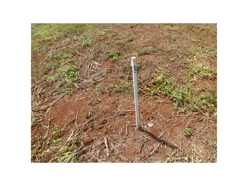 Daradgee QLD 4860