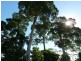 Stoters Hill QLD 4860
