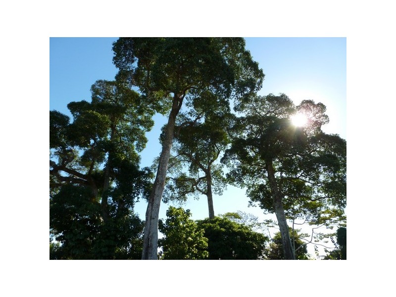 Stoters Hill QLD 4860