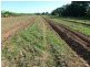 Stoters Hill QLD 4860