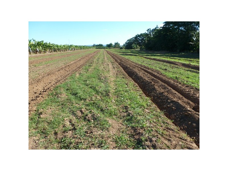 Stoters Hill QLD 4860