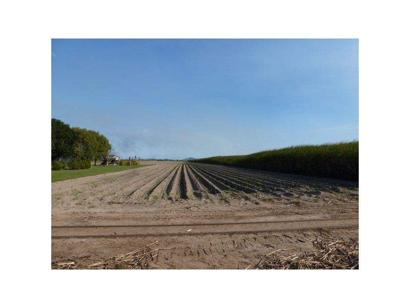 New Harbourline QLD 4858