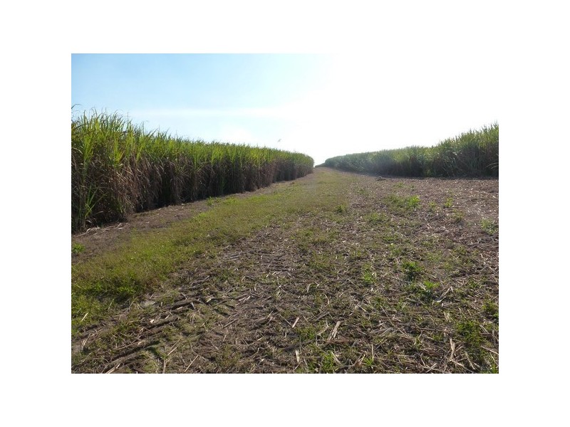 New Harbourline QLD 4858