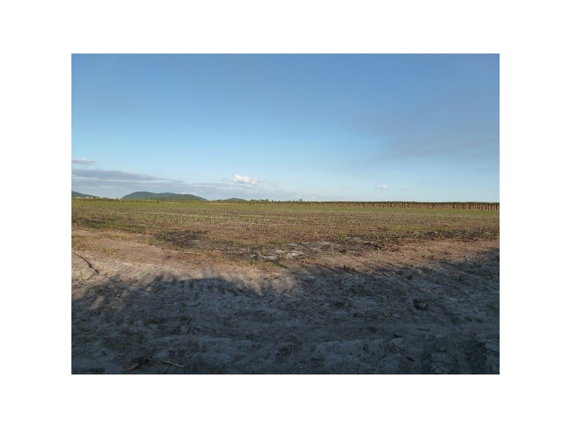 Mourilyan Harbour QLD 4858