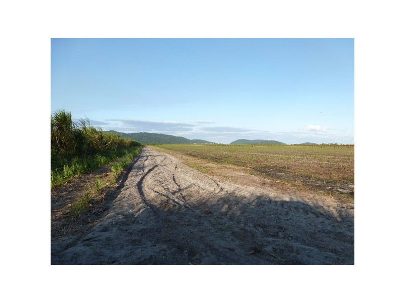 Mourilyan Harbour QLD 4858