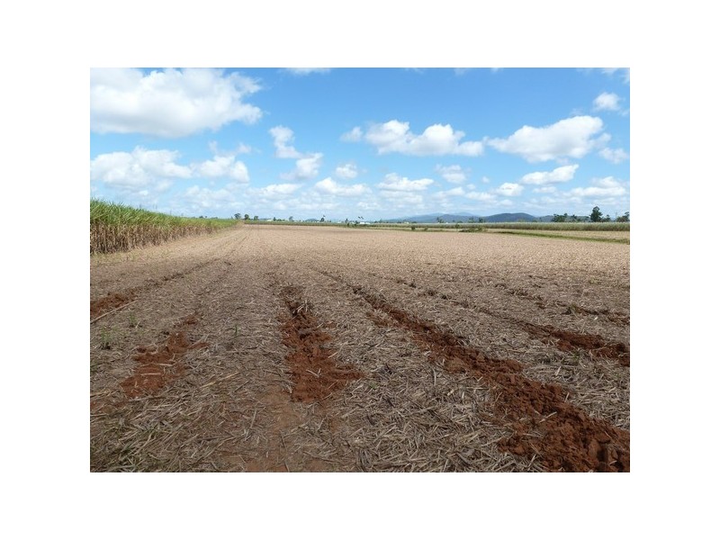 Mourilyan QLD 4858