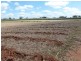 Mourilyan QLD 4858