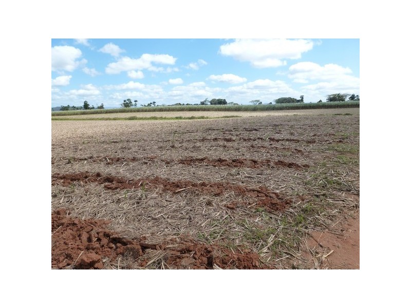 Mourilyan QLD 4858