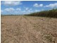 Mourilyan QLD 4858