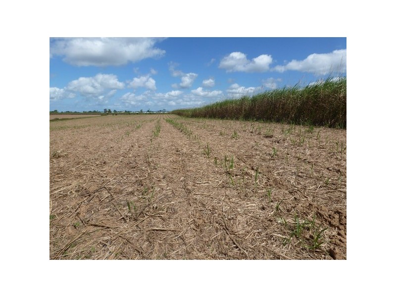 Mourilyan QLD 4858