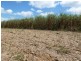 Mourilyan QLD 4858