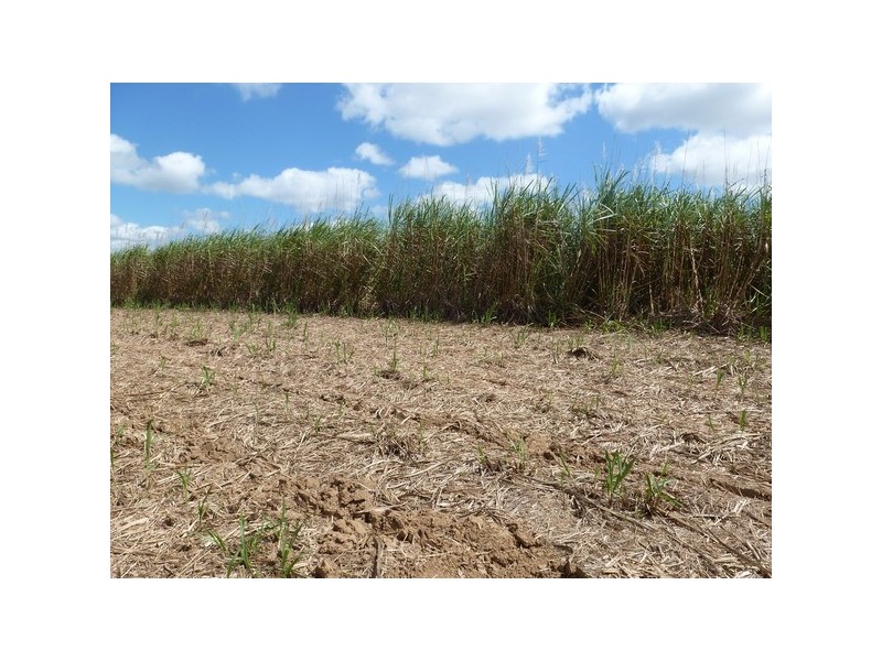 Mourilyan QLD 4858