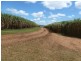 Mourilyan QLD 4858