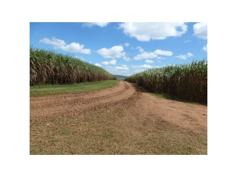 Mourilyan QLD 4858