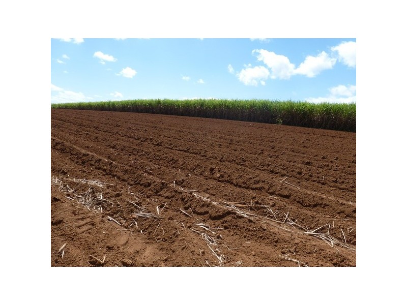Mourilyan QLD 4858