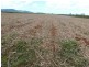 Mourilyan QLD 4858