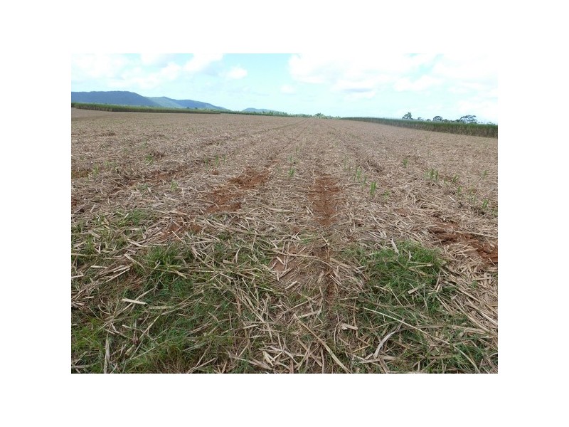 Mourilyan QLD 4858